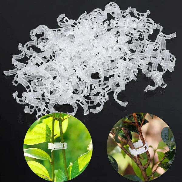 Plant Support Clips (Pack Of 100)