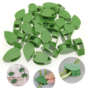 Plant Climbing Mini Leaf Clips (Pack Of 50)