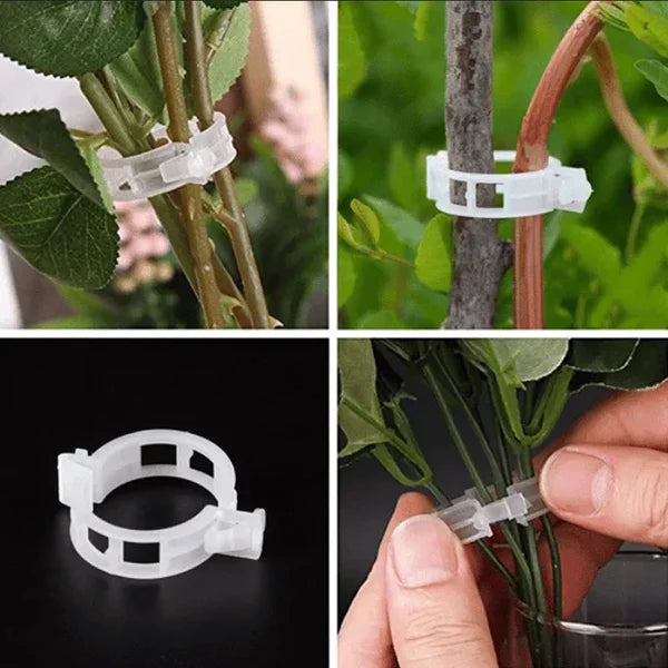 Plant Support Clips (Pack Of 100)