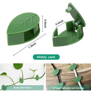 Plant Climbing Mini Leaf Clips (Pack Of 50)