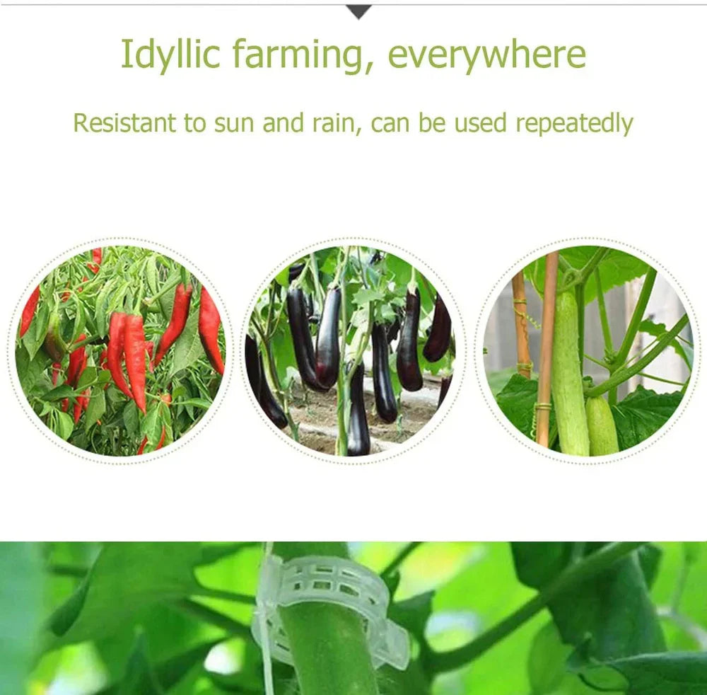 Plant Support Clips (Pack Of 100)