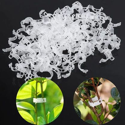 Plant Support Clips (Pack Of 100)