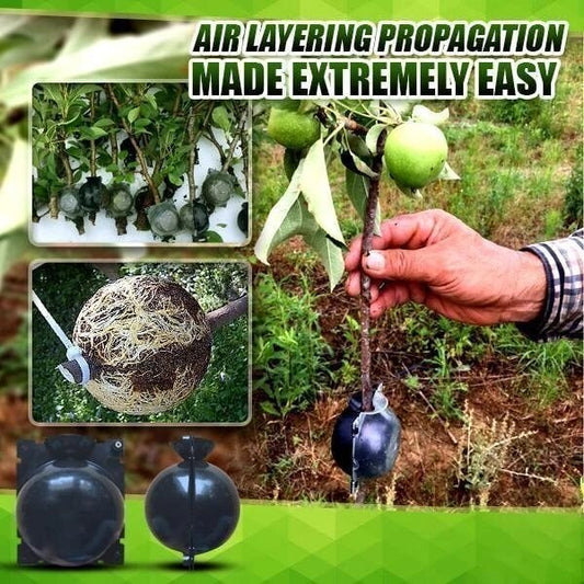 Plant Root Growing Box (PACK OF 4)