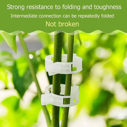Plant Support Clips (Pack Of 100)