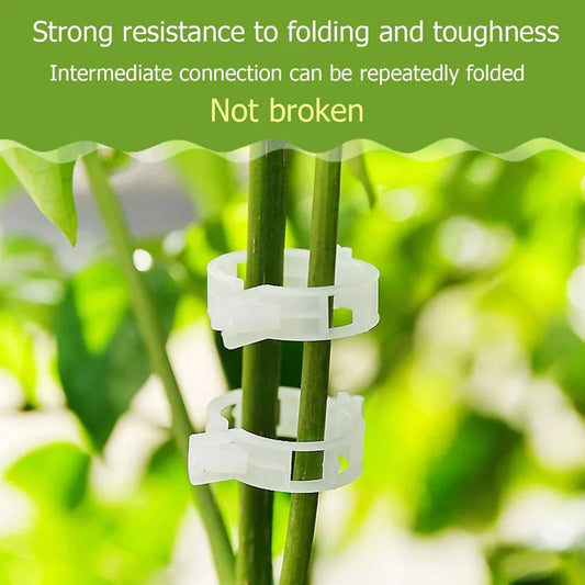 Plant Support Clips (Pack Of 100)